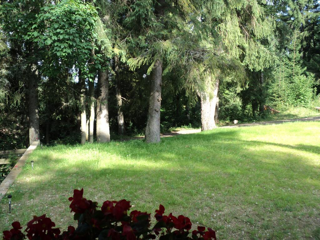 Cabana Suvenirurilor Scarisoara  Exteriér fotografie