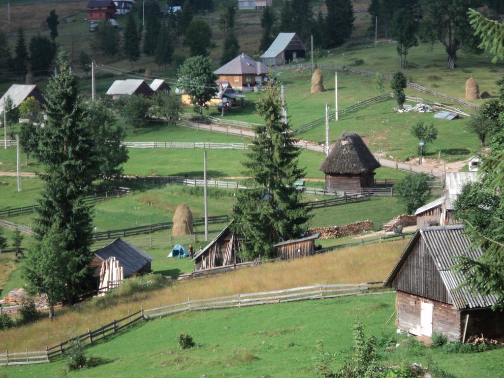 Cabana Suvenirurilor Scarisoara  Exteriér fotografie
