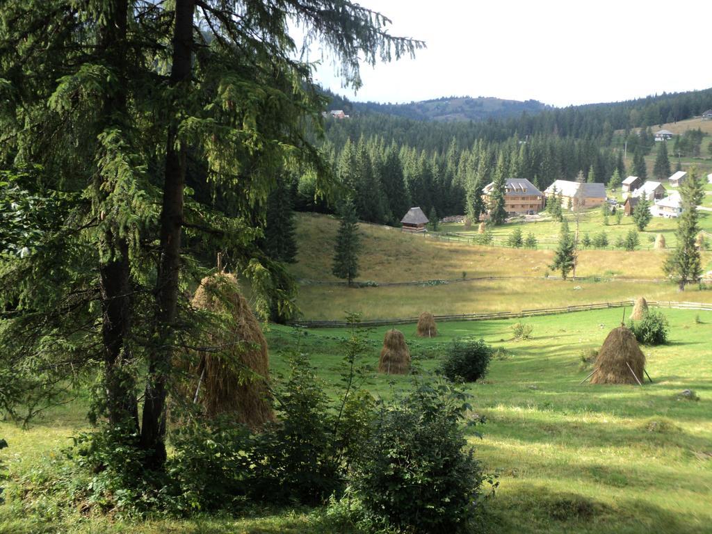 Cabana Suvenirurilor Scarisoara  Exteriér fotografie