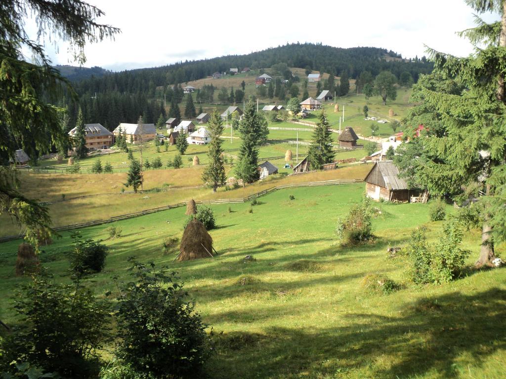 Cabana Suvenirurilor Scarisoara  Exteriér fotografie