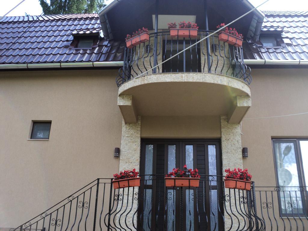 Cabana Suvenirurilor Scarisoara  Exteriér fotografie