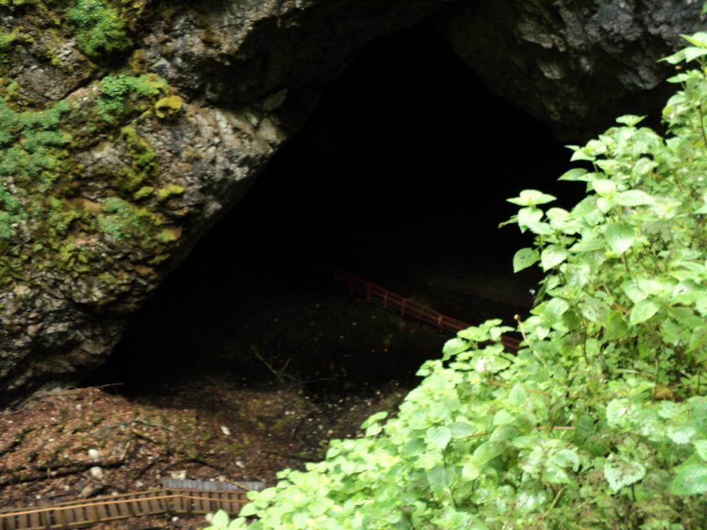 Cabana Suvenirurilor Scarisoara  Exteriér fotografie