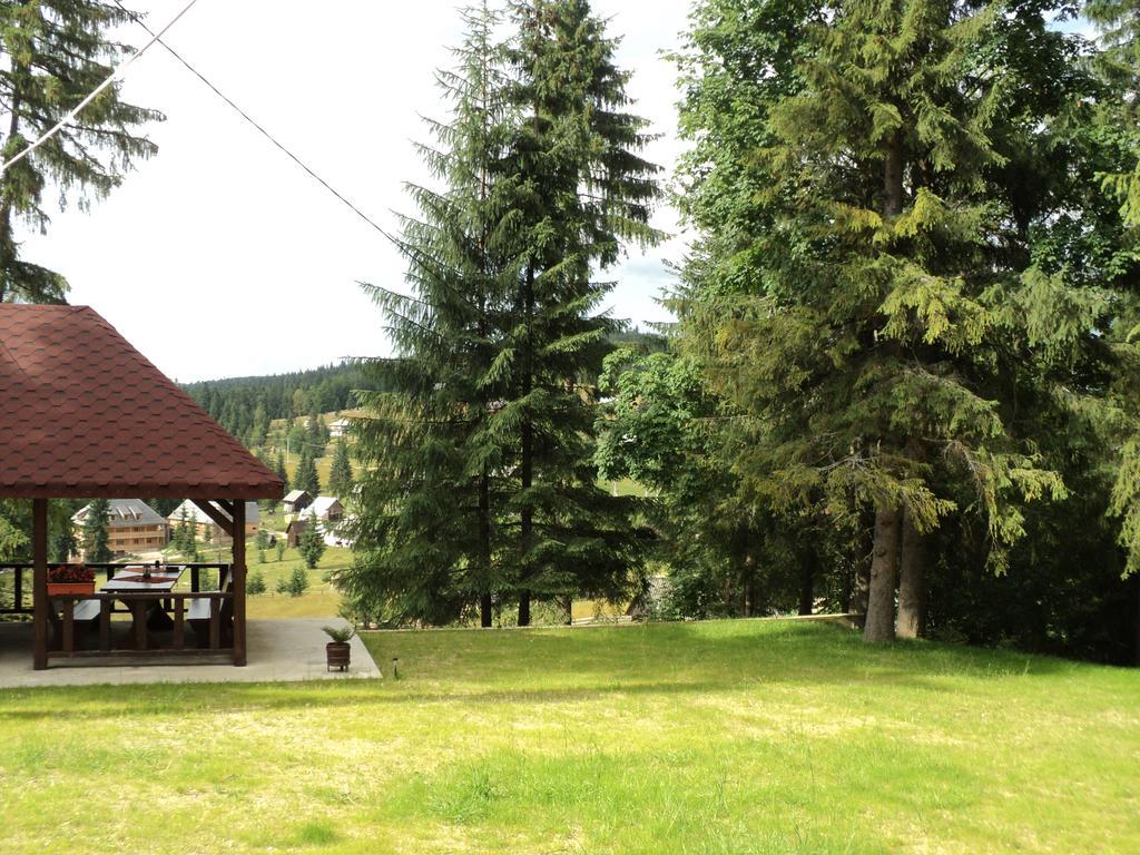 Cabana Suvenirurilor Scarisoara  Exteriér fotografie