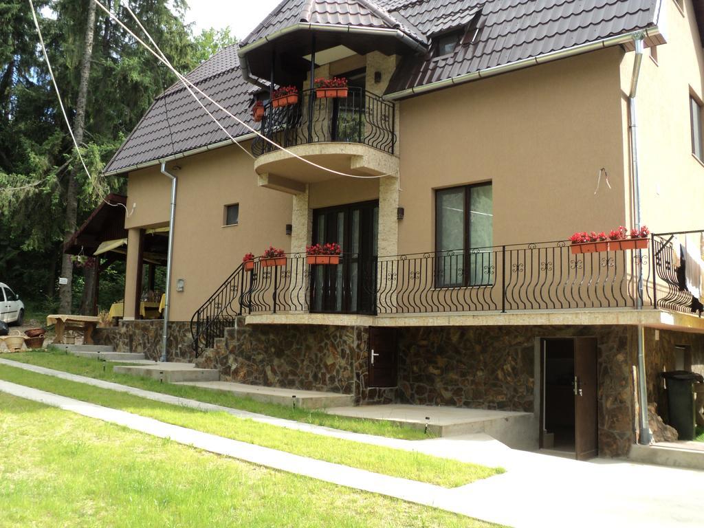 Cabana Suvenirurilor Scarisoara  Exteriér fotografie