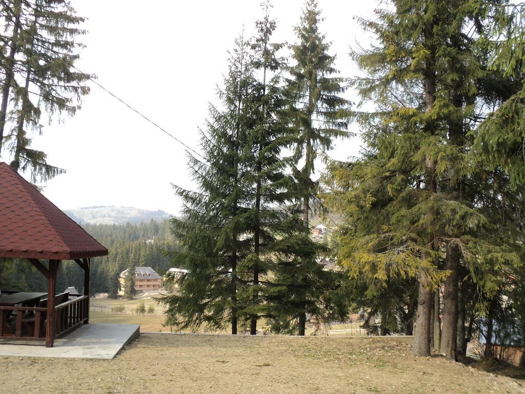 Cabana Suvenirurilor Scarisoara  Exteriér fotografie