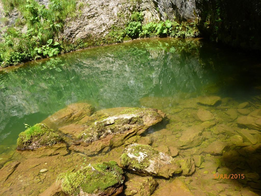 Cabana Suvenirurilor Scarisoara  Exteriér fotografie