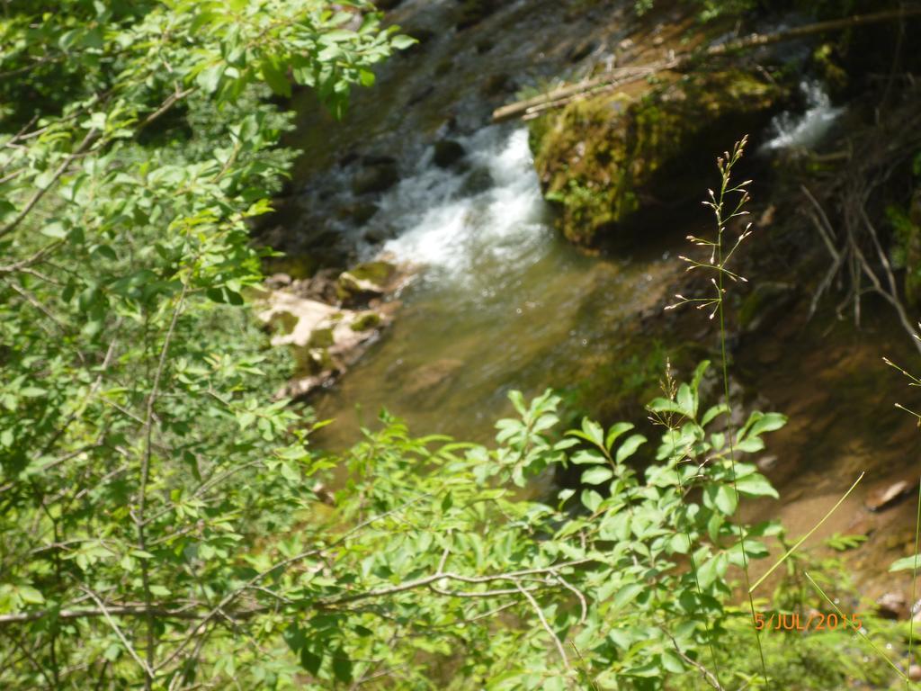 Cabana Suvenirurilor Scarisoara  Exteriér fotografie