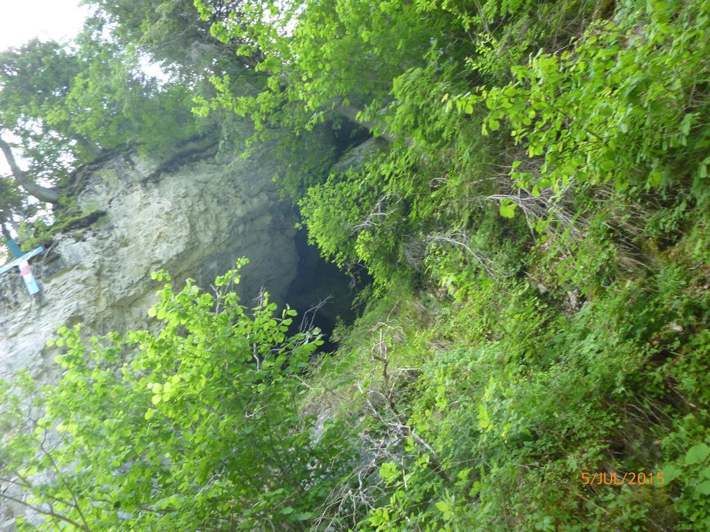 Cabana Suvenirurilor Scarisoara  Exteriér fotografie